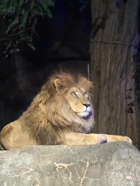 天王寺動物園に投稿された画像（2026/10/14）