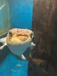 越前松島水族館に投稿された画像（2026/10/14）