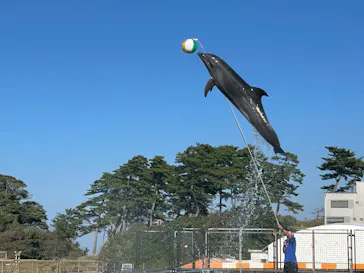 越前松島水族館に投稿された画像（2026/10/14）