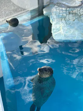 越前松島水族館に投稿された画像（2026/10/14）