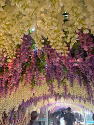 東京サマーランドに投稿された画像（2026/10/14）