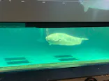 鴨川シーワールドに投稿された画像（2026/10/14）
