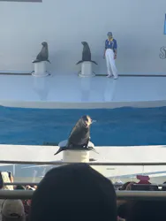 鴨川シーワールドに投稿された画像（2026/10/14）