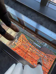 東京タワーに投稿された画像（2026/10/14）
