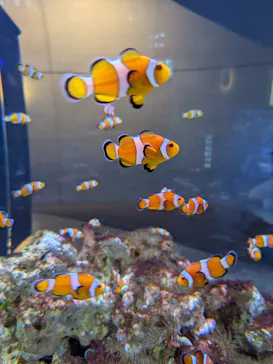 大分マリーンパレス水族館 「うみたまご」に投稿された画像（2026/10/15）