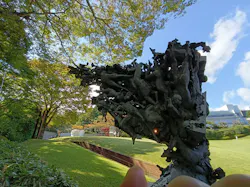彫刻の森美術館に投稿された画像（2026/10/15）
