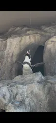 アクアワールド茨城県大洗水族館に投稿された画像（2026/10/15）