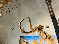 福井県立恐竜博物館に投稿された画像（2026/10/15）