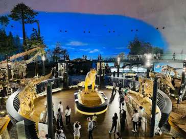 福井県立恐竜博物館に投稿された画像（2026/10/15）