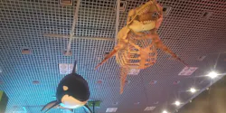特別展「いきもの超ワールド展　国立科学博物館×ダーウィンが来た！」（国立科学博物館）に投稿された画像（2026/10/15）