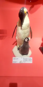 特別展「いきもの超ワールド展　国立科学博物館×ダーウィンが来た！」（国立科学博物館）に投稿された画像（2026/10/15）