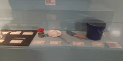 特別展「いきもの超ワールド展　国立科学博物館×ダーウィンが来た！」（国立科学博物館）に投稿された画像（2026/10/15）