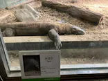 名古屋市東山動植物園に投稿された画像（2026/10/15）