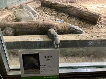 名古屋市東山動植物園に投稿された画像（2026/10/15）