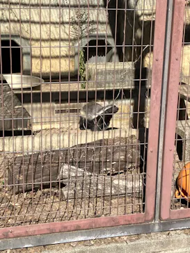 名古屋市東山動植物園に投稿された画像（2026/10/15）