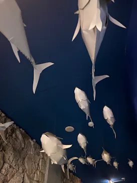 越前松島水族館に投稿された画像（2026/10/15）