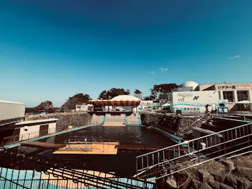 越前松島水族館に投稿された画像（2026/10/15）