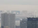 東京タワーに投稿された画像（2026/10/15）
