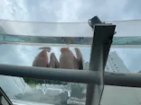 サンシャイン水族館に投稿された画像（2026/10/15）