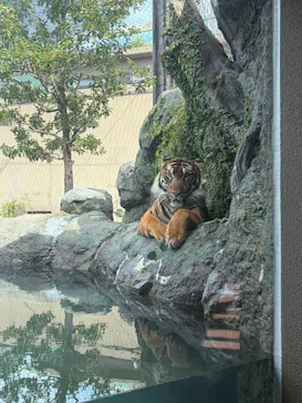 名古屋市東山動植物園に投稿された画像（2026/10/15）
