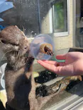 下田海中水族館に投稿された画像（2026/10/16）