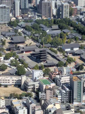 ハルカス300(展望台)に投稿された画像（2026/10/16）