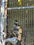 天王寺動物園に投稿された画像（2026/10/16）