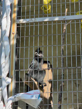 天王寺動物園に投稿された画像（2026/10/16）