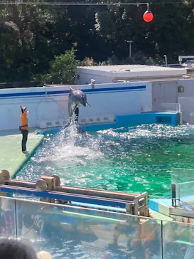 しながわ水族館に投稿された画像（2026/10/16）