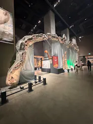 福井県立恐竜博物館に投稿された画像（2026/10/16）