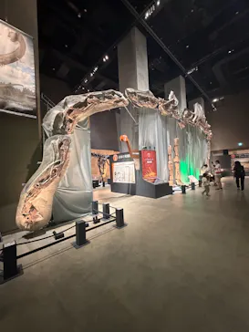 福井県立恐竜博物館に投稿された画像（2026/10/16）