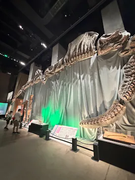 福井県立恐竜博物館に投稿された画像（2026/10/16）