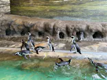 しながわ水族館に投稿された画像（2026/10/16）