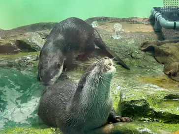 しながわ水族館に投稿された画像（2026/10/16）