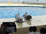 マリンワールド海の中道に投稿された画像（2026/10/16）