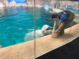 名古屋港水族館に投稿された画像（2026/10/16）