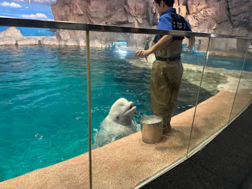 名古屋港水族館に投稿された画像（2026/10/16）