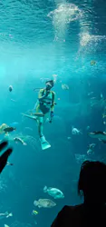 新江ノ島水族館に投稿された画像（2026/10/16）