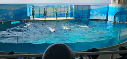 新江ノ島水族館に投稿された画像（2026/10/16）