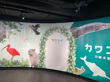 カワスイ 川崎⽔族館に投稿された画像（2026/10/16）