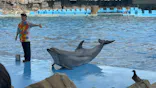 名古屋港水族館に投稿された画像（2026/10/16）