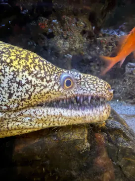 名古屋港水族館に投稿された画像（2026/10/16）