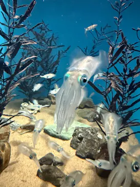 名古屋港水族館に投稿された画像（2026/10/16）