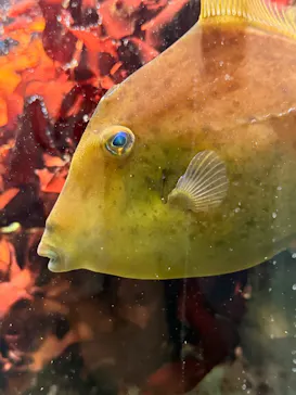 名古屋港水族館に投稿された画像（2026/10/16）