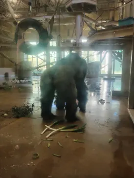 名古屋市東山動植物園に投稿された画像（2026/10/16）