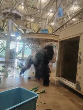 名古屋市東山動植物園に投稿された画像（2026/10/16）