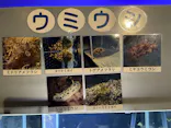越前松島水族館に投稿された画像（2026/10/16）