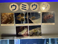 越前松島水族館に投稿された画像（2026/10/16）