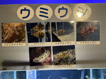 越前松島水族館に投稿された画像（2026/10/16）