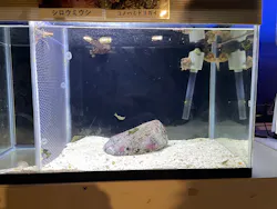 越前松島水族館に投稿された画像（2026/10/16）
